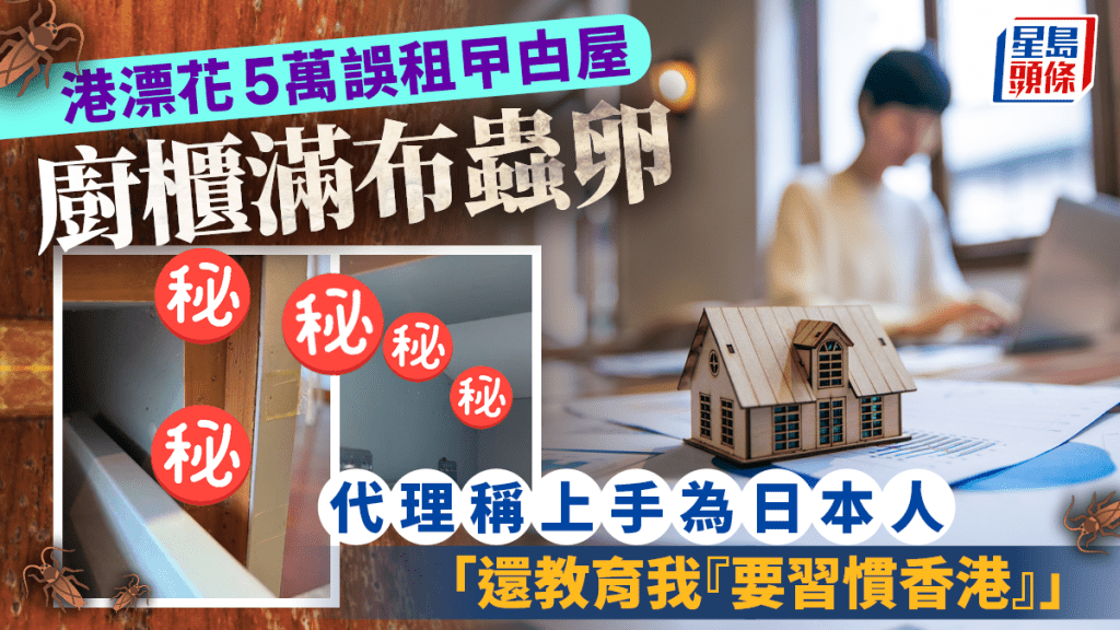 港漂花5萬誤租曱甴屋 廚櫃滿布蟲卵 代理稱上手為日本人「還教育我『要習慣香港』」