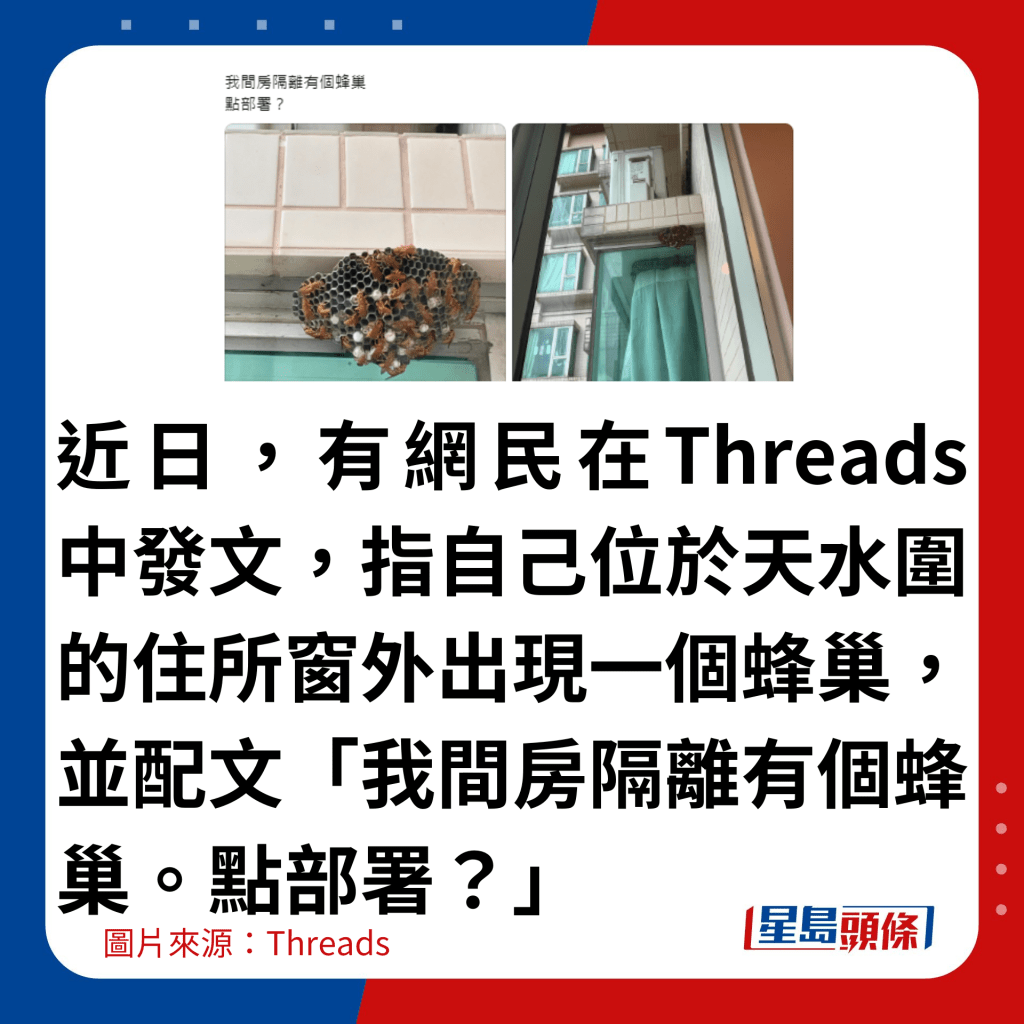 近日，有网民在Threads中发文，指自己位于天水围的住所窗外出现一个蜂巢，并配文「我间房隔离有个蜂巢。点部署？」