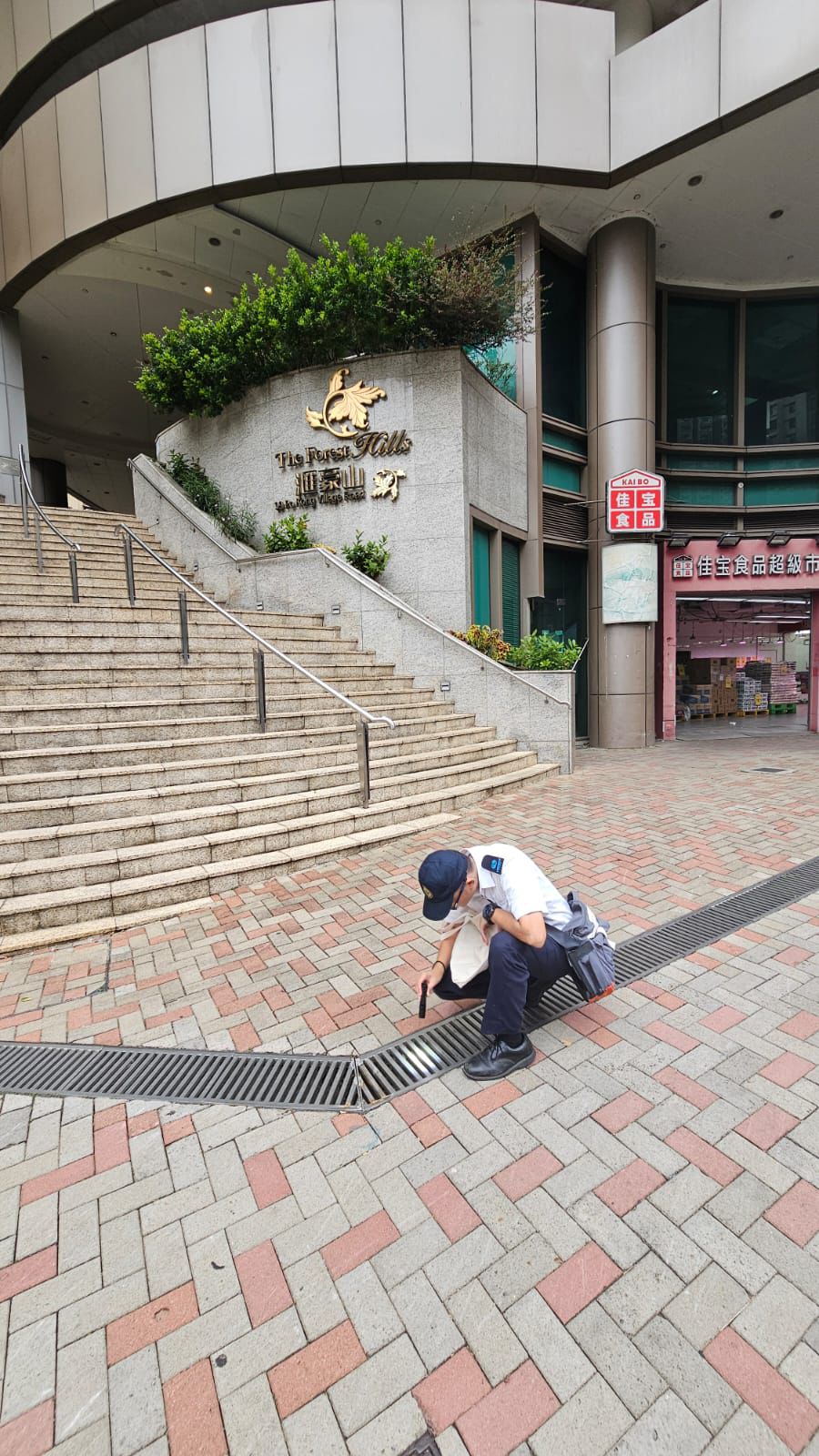 繼續在相關地點進行密集式霧化處理工作及施放蚊油,以殺滅成蚊。食環署FB 繼續在相關地點進行密集式霧化處理工作及施放蚊油,以殺滅成蚊。食環署FB