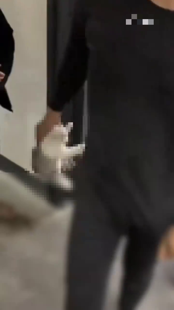 男生偷偷帶貓入宿舍,遭冷血教官監生摔死。 網片截圖 男生偷偷帶貓入宿舍,遭冷血教官監生摔死。 網片截圖