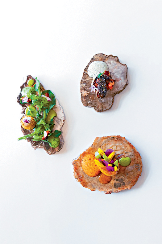 用咖啡牛油烤的潛水扇貝，上面點綴着烤雞皮、海茴香和浮遊生物（plankton）； 沙爹烤牛肝菌與酸雞油菌和海膽奶油。