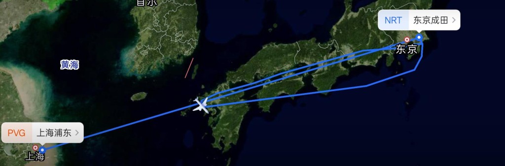 乘客大閙飛機後，航班要折返東京成田機場。極目新聞