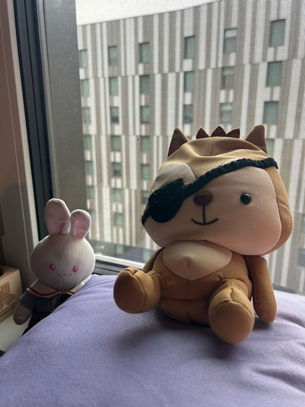 「獨眼公仔」由小學陪到大學。此圖攝於Candace媽媽囡囡的大學宿舍。(圖片授權:由受訪者授權刊登) 「獨眼公仔」由小學陪到大學。此圖攝於Candace媽媽囡囡的大學宿舍。(圖片授權:由受訪者授權刊登)