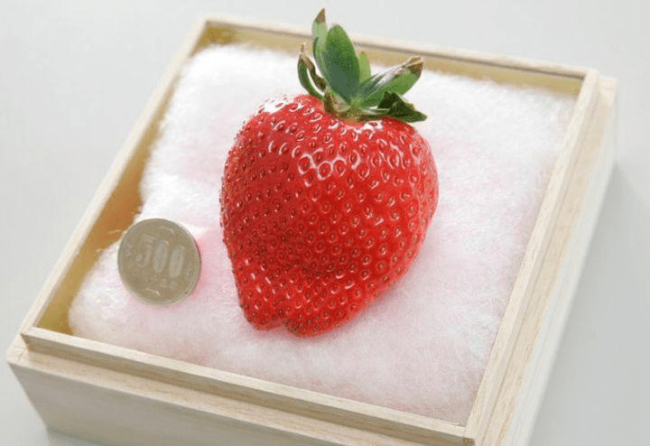 美人姬士多啤梨（每个4000美元，约港币31,200元），美人姬士多啤梨产自日本，它不仅是市场上最贵的草莓，也是最大的草莓，它的重量超过100克，是传统草莓的三倍，通常每个季节只有500个左右。