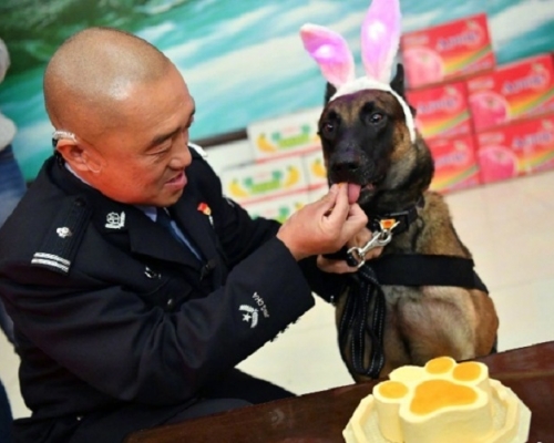 网上图片