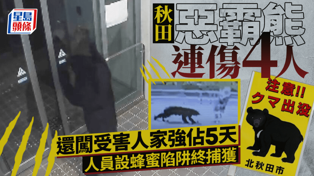 日本熊出沒 | 秋田惡霸熊連傷4人 闖民居強佔5天終被捕獲 觀光景點加強防範