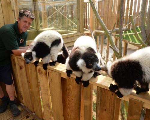 Andy Cowell經營一個小小的動物園。網圖