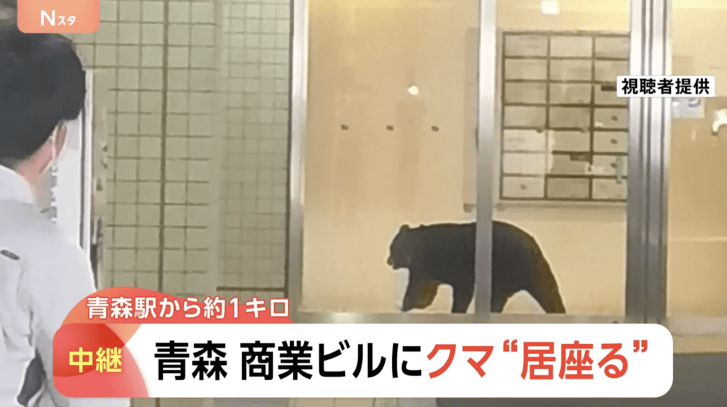 至傍晚时分，现场传出枪声，当局确认已派猎人将该头闯入大楼的熊只射杀。