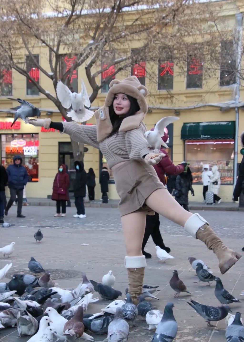 哈爾濱中央大街白鴿常獲遊客餵食。網絡圖片