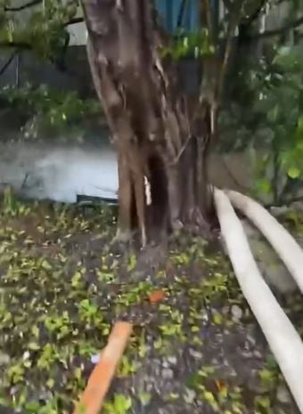 強力排水機械人「龍吸水」正於坪輋李屋村協助處理水浸。渠務署網頁