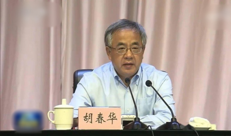 消息指胡春华亦是副主席候选人之一。