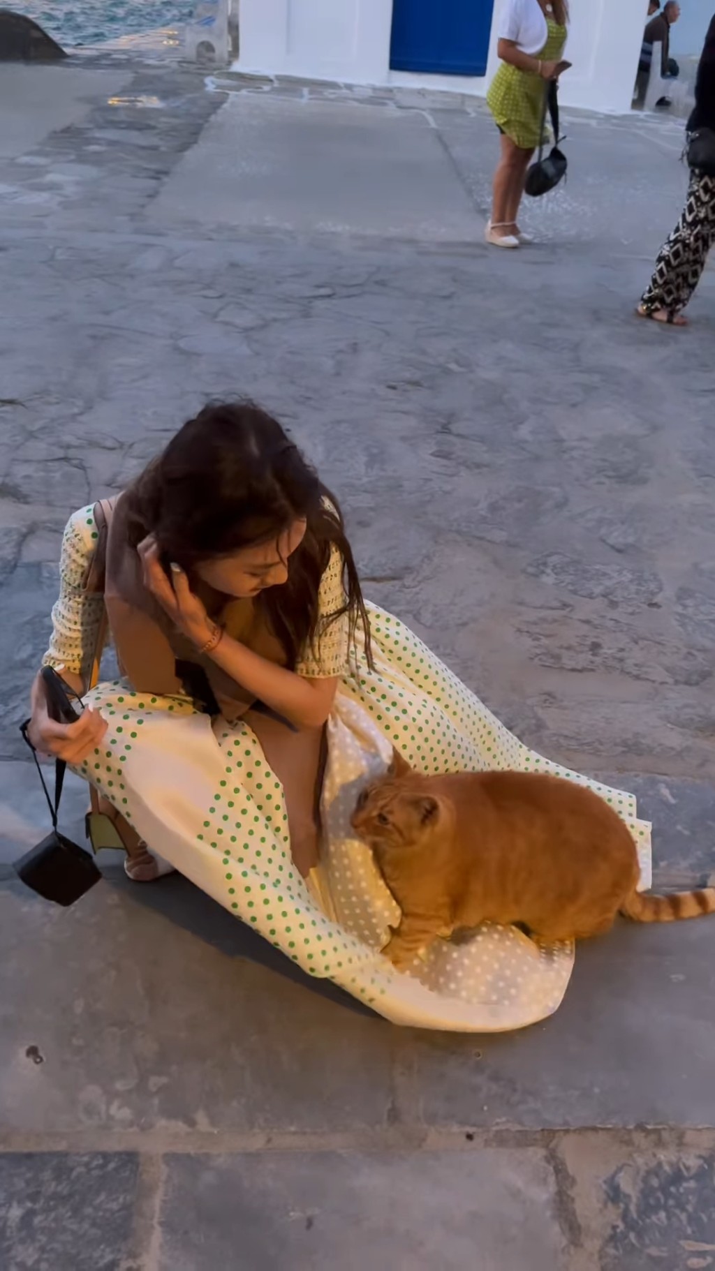 希腊当地风大，猫猫似乎也担心周秀娜会走光。