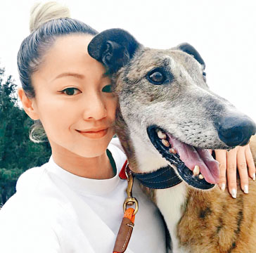 鄭融從澳門逸園領養回來的格力犬Mack十分乖巧。