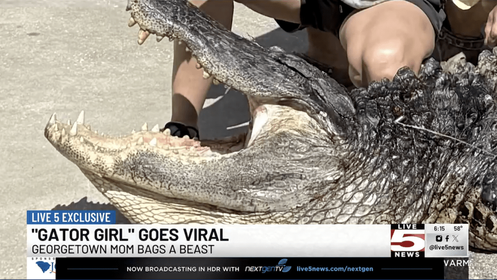 利文斯顿放产假狩猎时成功捕获一条长达3.6米、重达271公斤的巨鳄。Live5News画面截图