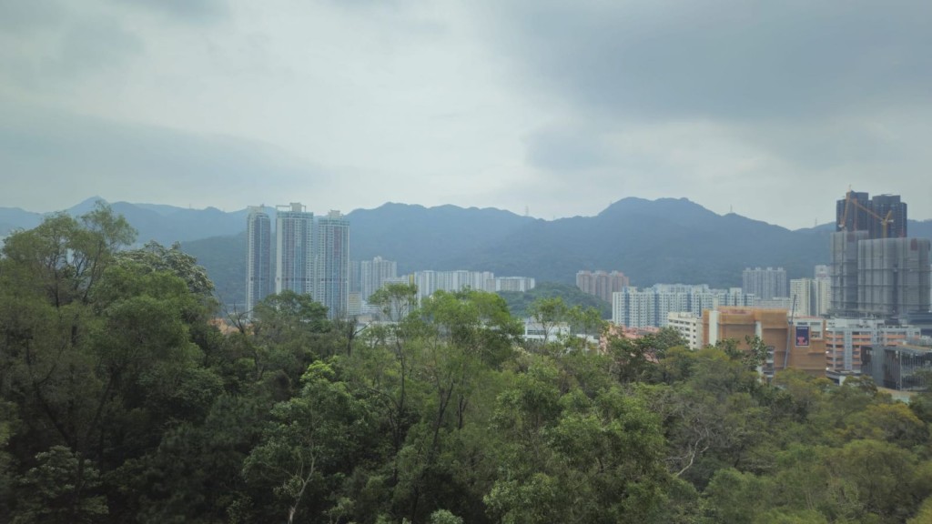 單位外望周邊樹景，遠眺開揚市景及山景。