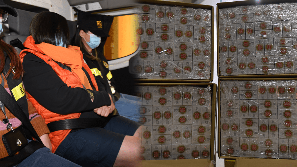 海關搗粉嶺私煙倉檢$1100萬貨拘女倉主 料3成貨供海外市場