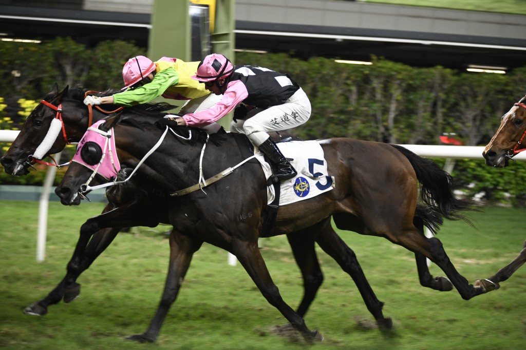 楊博士名下馬「好好紛」(內)早前打開在港勝利之門。