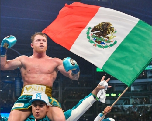 墨西哥拳王艾華利斯技術性擊倒美國拳王柏治。網上圖片