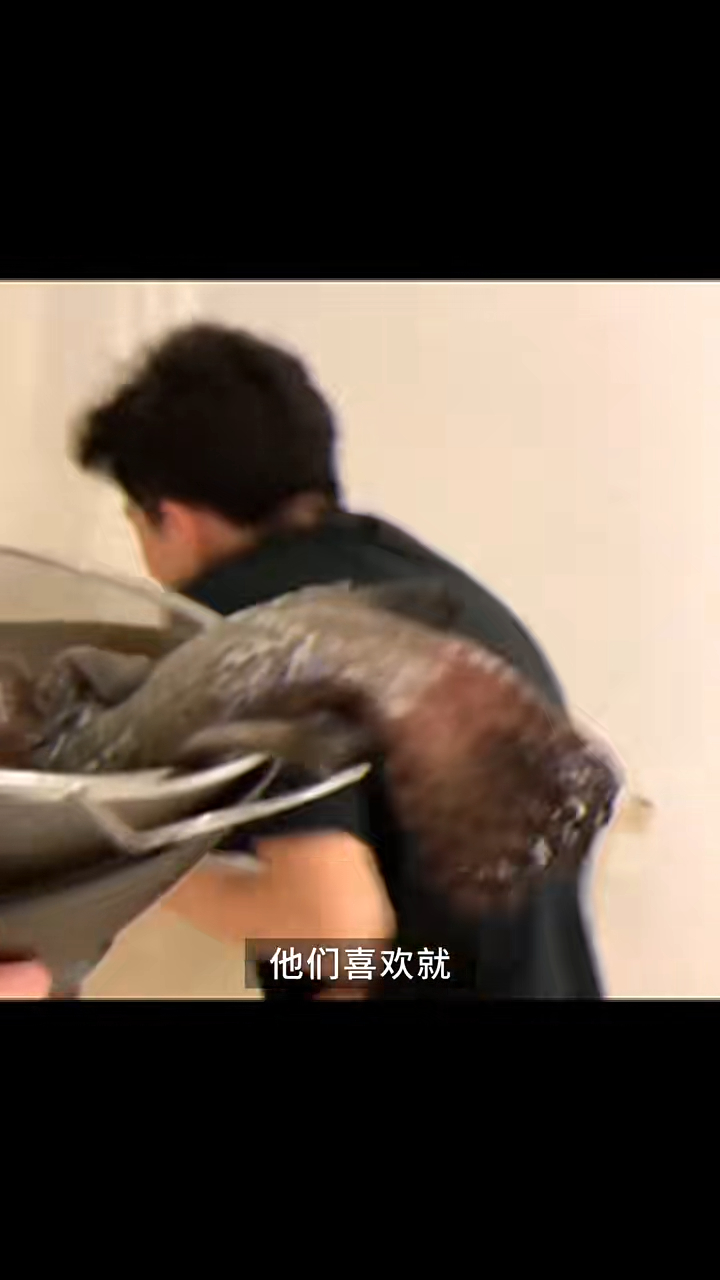張栢芝遞生魚給Lucas聞,Lucas搞笑扮作嘔。 張栢芝遞生魚給Lucas聞,Lucas搞笑扮作嘔。