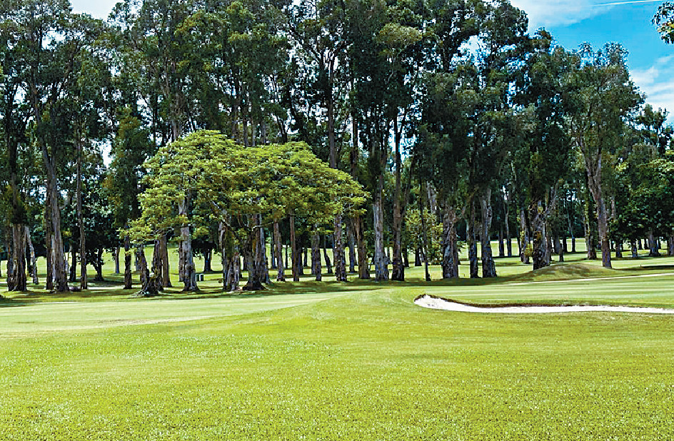 ■粉嶺高爾夫球場是在這鬧市中碩果僅存的「小自然」。