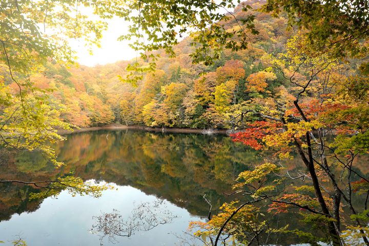 十二湖的秋色，教人百看不厌。