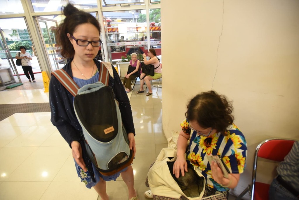 住客盧小姐兩姊妹帶三貓一雀離開。本報記者攝