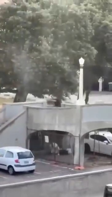 有網民拍下英雄民眾奪槍經過。X@Àdnanô 有網民拍下英雄民眾奪槍經過。X@Àdnanô