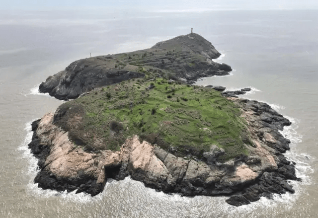 浙江300一天招「守鳥人」，住海島有網絡。