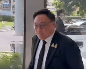 泰國為泰黨新一任黨魁朱拉汶。上觀新聞