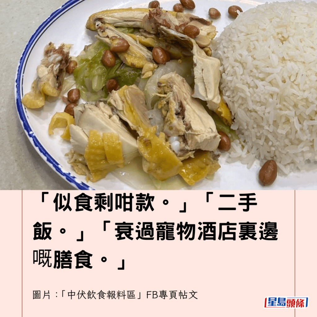  「似食剩咁款。」「二手饭。」「衰过宠物酒店里边嘅膳食。」