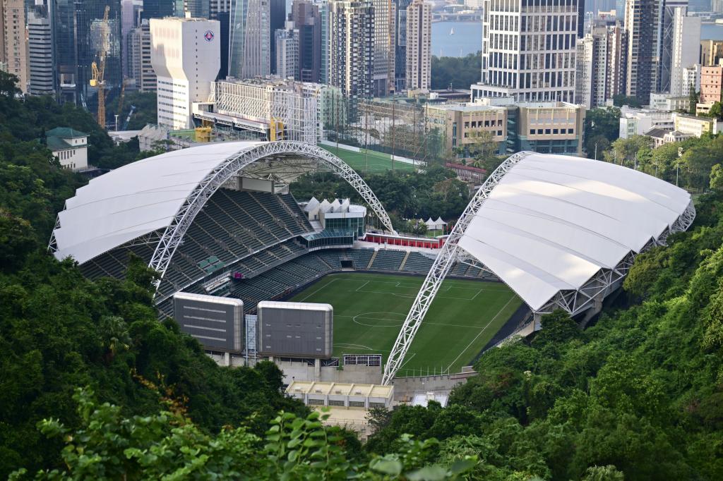 康文署一直有提供香港大球场导赏服务，惟过去5年累计参观人次不足1200人。