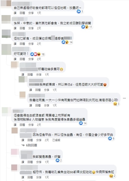 該則帖文引起眾多網民熱議，有網民認為涉事壁虎十分可愛，希望樓主放生。香港滅蟲關注組FB圖片