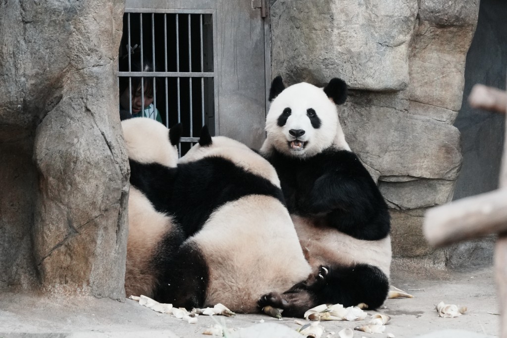 一對龍鳳胎加加和得得，與母親盈盈享受親子時光。