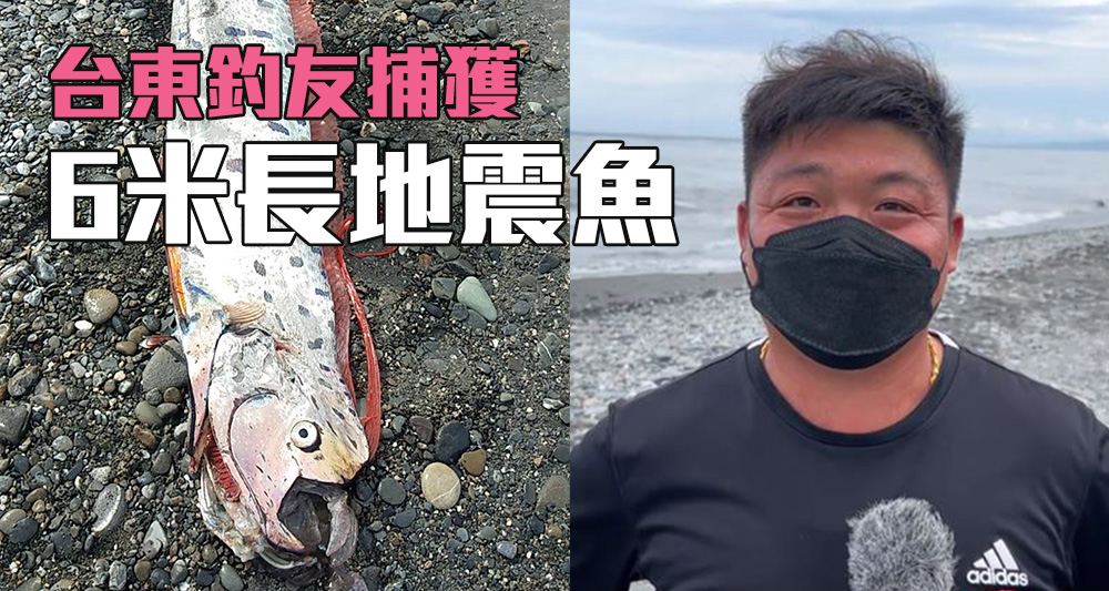 林姓男子釣起一條罕見的巨型地震魚。（網上圖片）