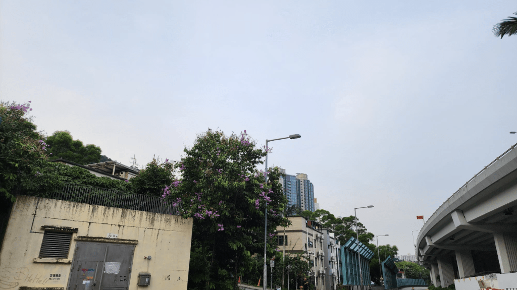 今日市區最高氣溫約35℃，稍後有幾陣驟雨。黎志偉攝