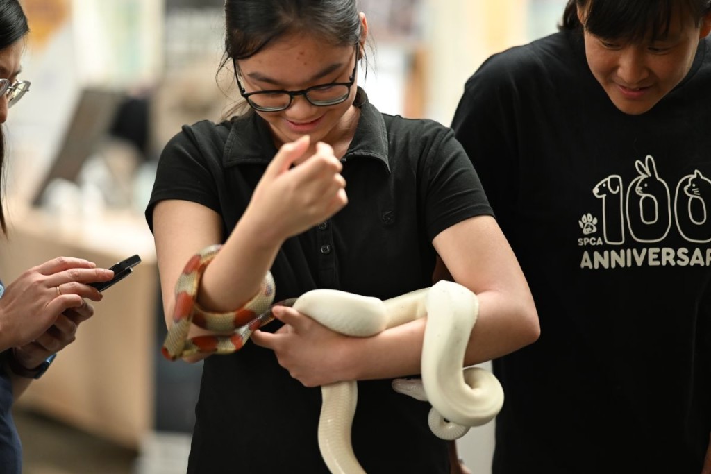 市集設有不同寵物，包括鸚鵡、山羊及兩棲爬行動物近距離接觸環節，讓市民了解不同寵物的習性與照料方式。