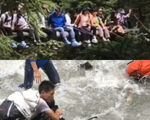 14名大学生在云南独木桥上合照时，桥忽然断裂。网上截图