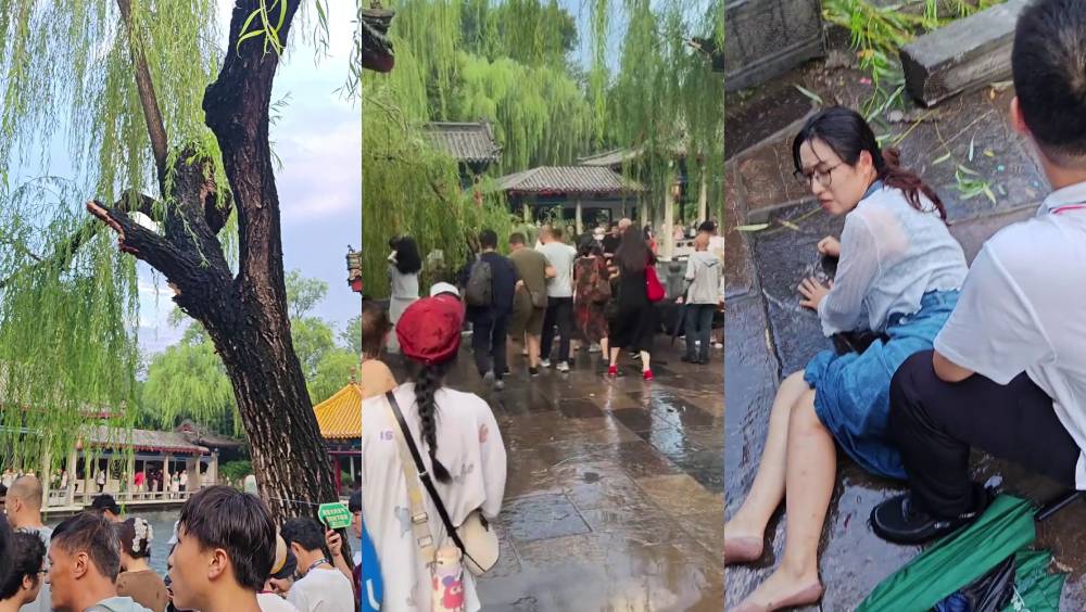 濟南趵突泉老柳樹折斷，16遊客受傷。 抖音