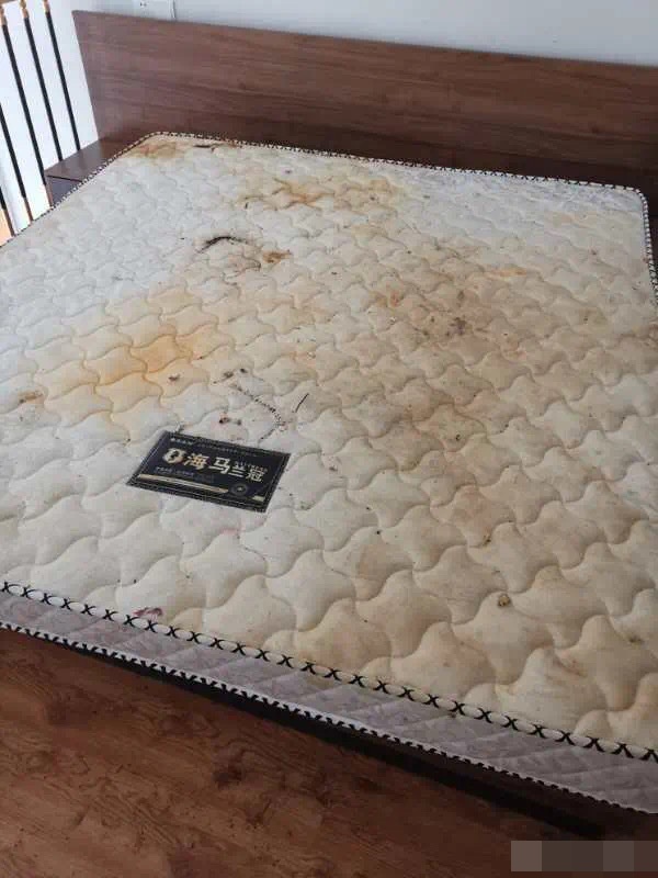 網圖