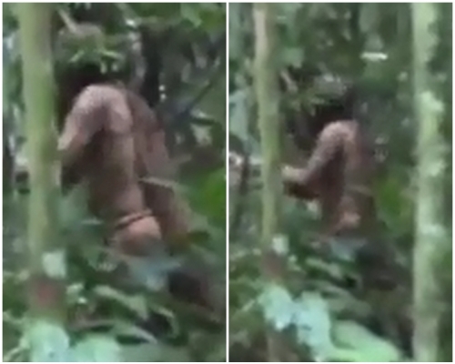 50多歲半裸男子正用斧頭砍樹。網圖