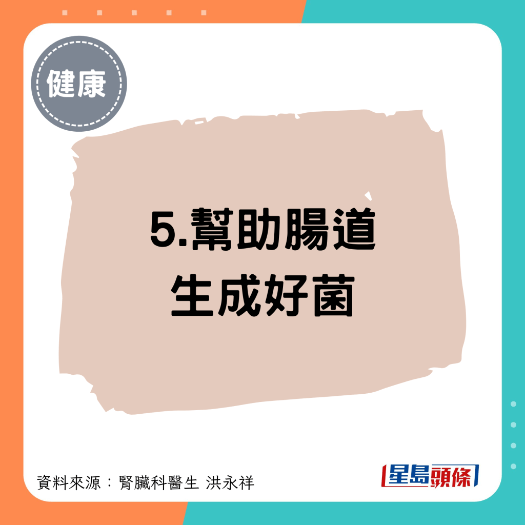 5.幫助腸道 生成好菌