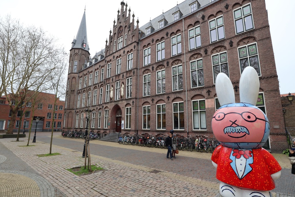 荷蘭大學課程選擇多元，包括地理學、藥理學、環境學、考古學、風濕病學等。圍為烏特勒支大學城。