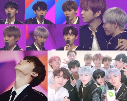 Wanna One(網圖)