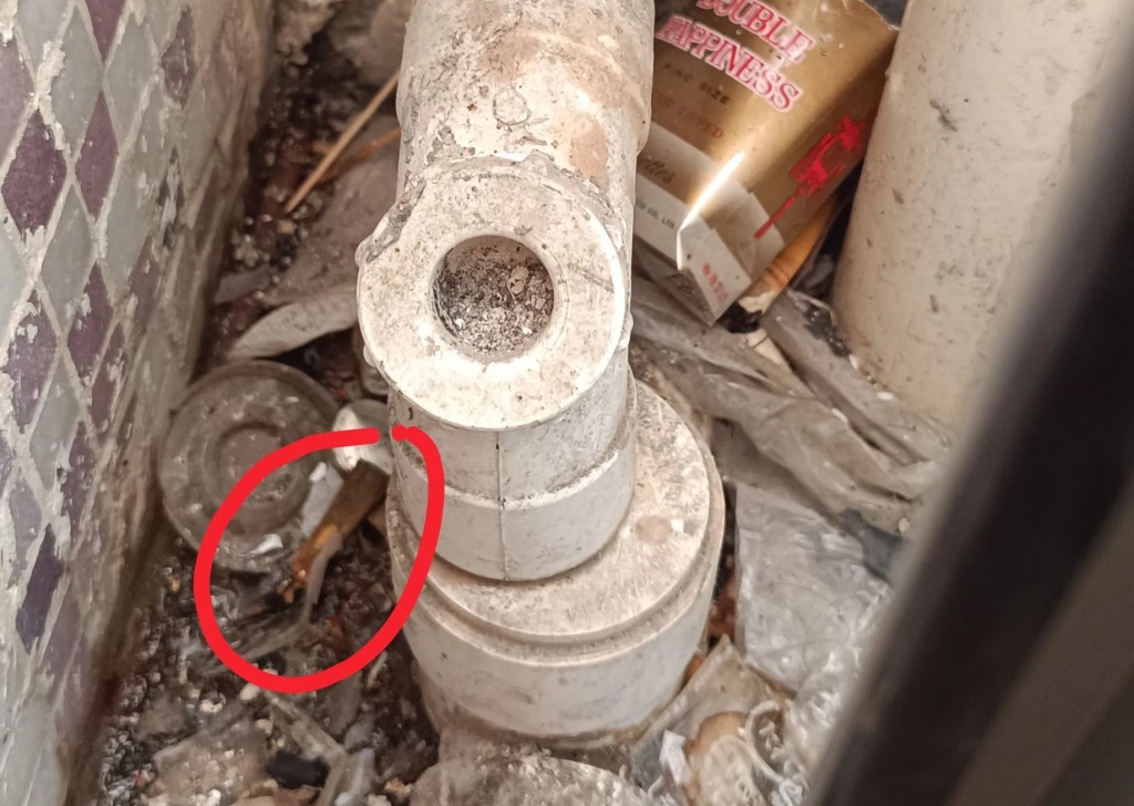 Threads截圖(資料來源:bluebell_raindrop@Threads) Threads截圖(資料來源:bluebell_raindrop@Threads)