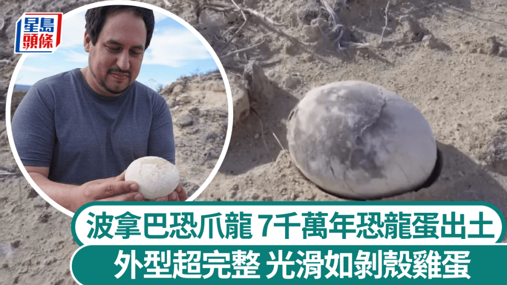 7千萬年恐龍蛋罕見超完整出土 殼薄易碎光滑似水煮雞蛋