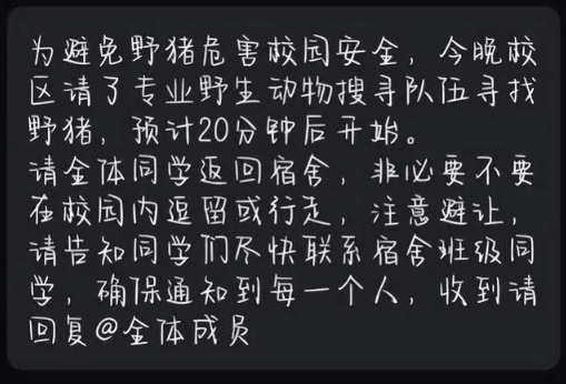 校方请来专业搜寻队伍。 评论区截图