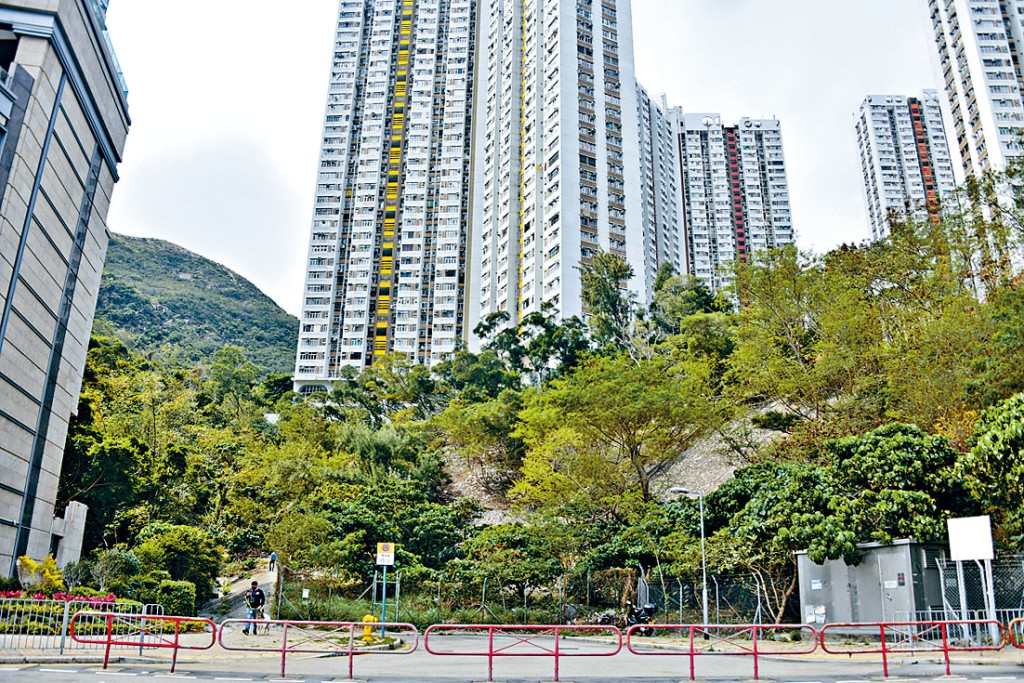 大昌以逾13億奪鴨脷洲地皮。