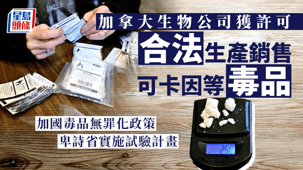 卑詩省推出持2.5克以下指定毒品無罪化政策，圖中為2.5克可卡因。 路透社