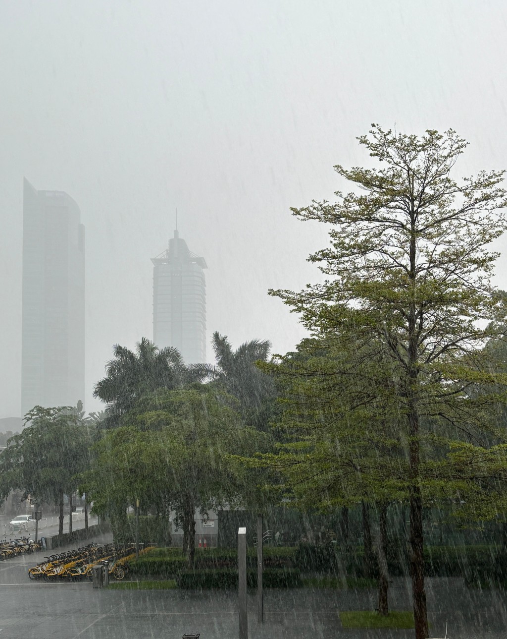 深圳多區掛上暴雨黃色預警。（微博）