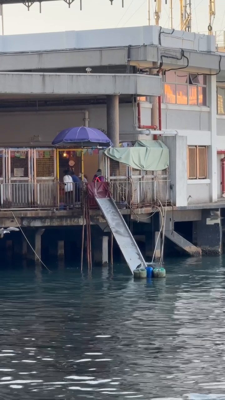 Threads截圖(資料來源:tumtumtummy_tommy@Threads) Threads截圖(資料來源:tumtumtummy_tommy@Threads)